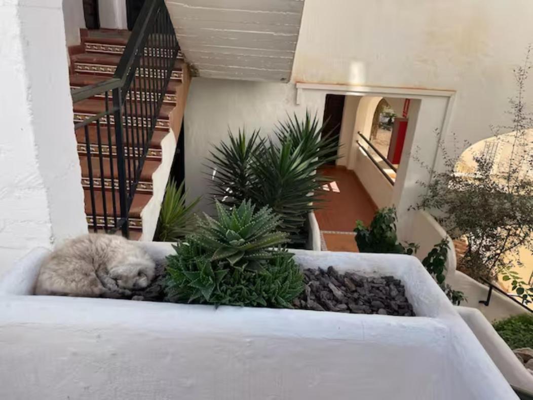 Pueblo Evita In Exclusive Complex Apartment